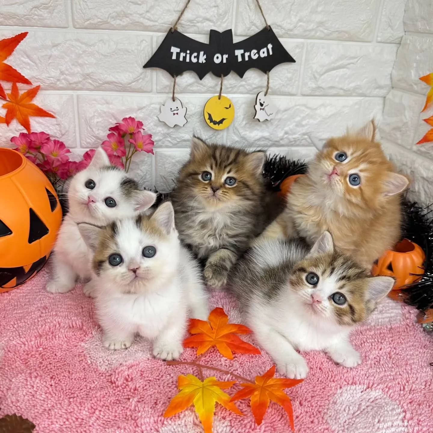 スタッフアルバイト、パートさん募集💕